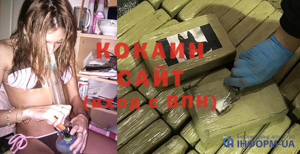 крисы Дмитров