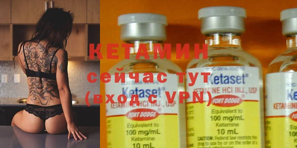 крисы Дмитров